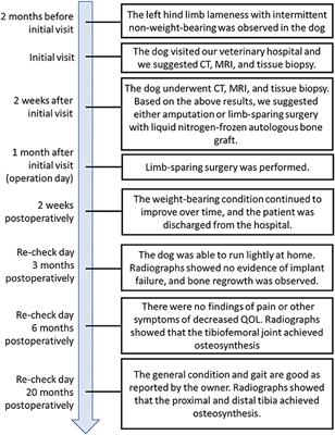 Case report: Limb-sparing surgery of tibial chondrosarcoma with frozen autologous bone graft using liquid nitrogen in a dog